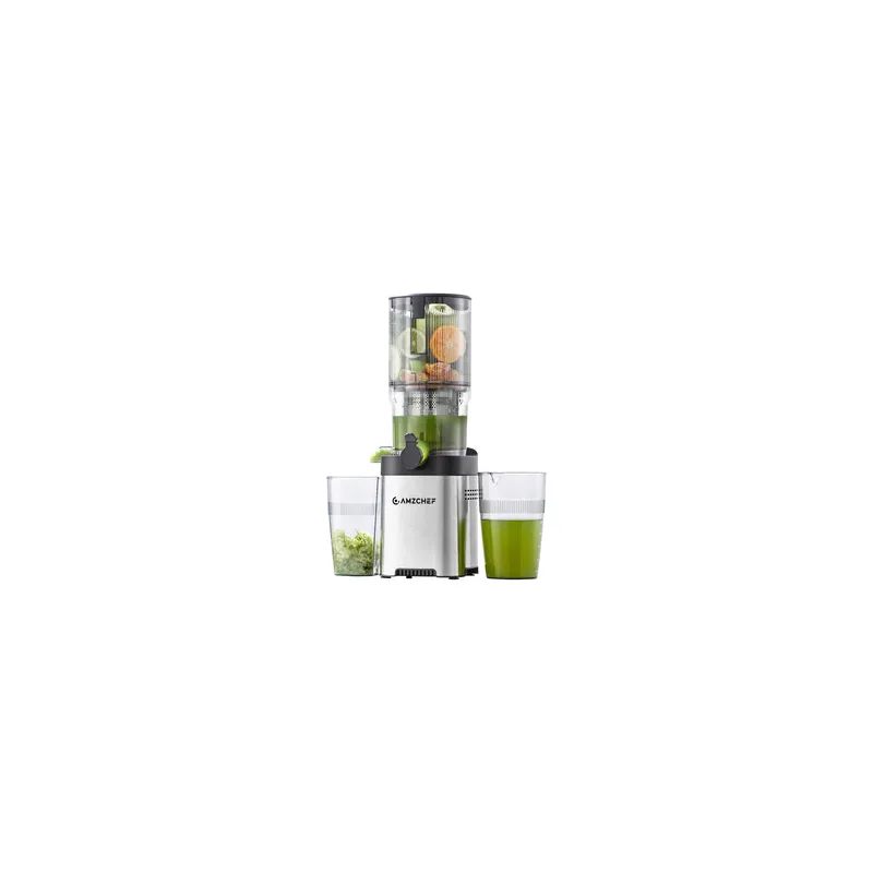 AMZCHEF CE-ZM1902B-SV Slow Juicer